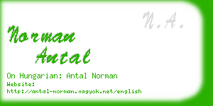 norman antal business card